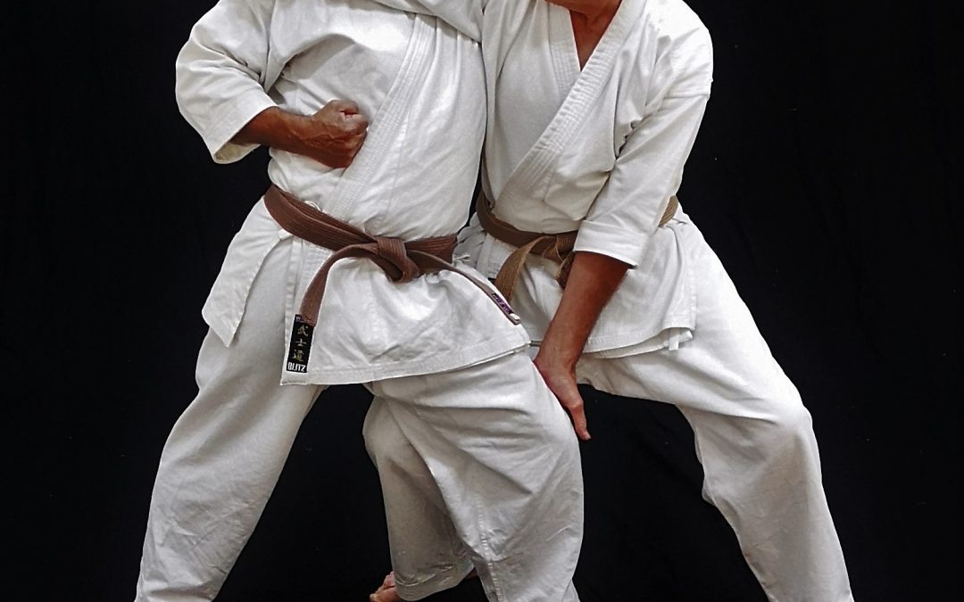 What is the goal of Karate