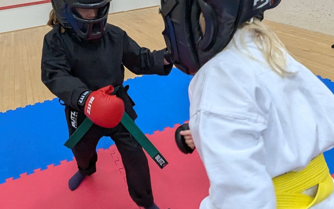 Karate Training What Parents and Adults Should Look For