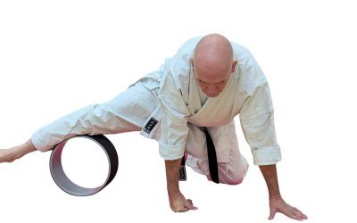 Fitness for the Martial Artist